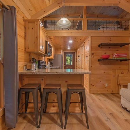 Celina Cabin Nature Cabin Near Downtown Chattanooga Extérieur photo