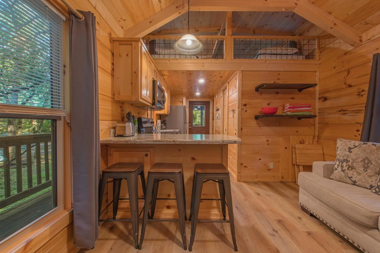 Celina Cabin Nature Cabin Near Downtown Chattanooga Extérieur photo